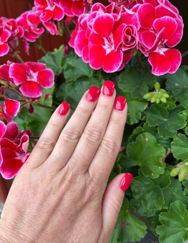 EIne Hand mit roter Maniküre vor Blumen